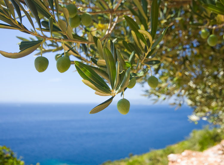 Olive italiane