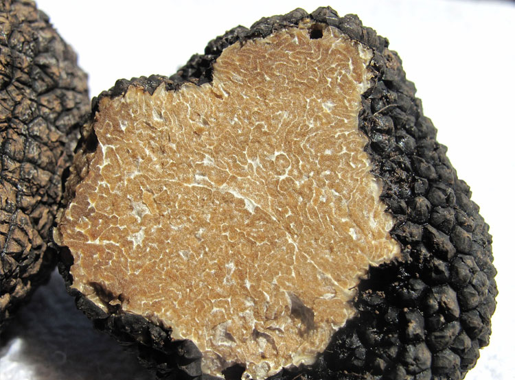 Tartufo nero e bianco